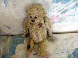 bear tramp face_05